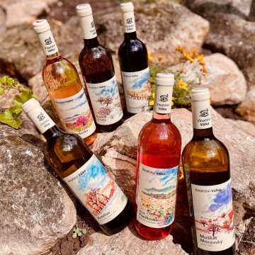 Vinařství Válka - Ročník - 2023